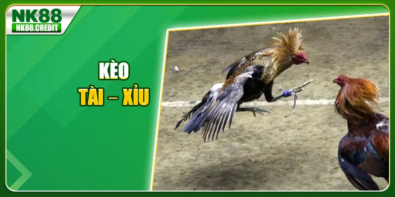 Kèo tài - xỉu